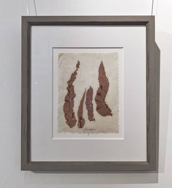 - on , Print by Richard Farrant, measuring 19 x 15 cm (H x W) framed at 35 x 30 cm £75